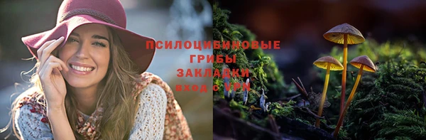 мескалин Абаза